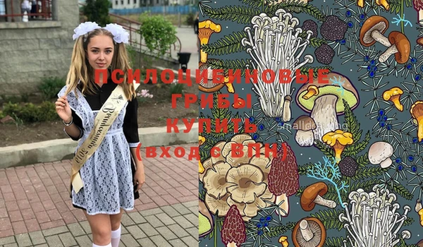 трава Навашино